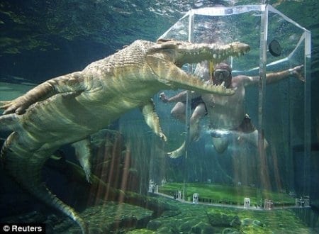 The Cage of Death, Australia