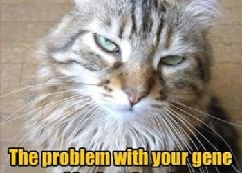 Funny animal pictures 21 Jan 2010
