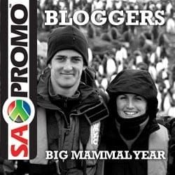 The beginnings of The Big Mammal Year