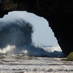 Discover South Africa’s Wild Coast