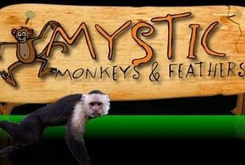 Mystic Monkeys and Feathers Wildlife Park