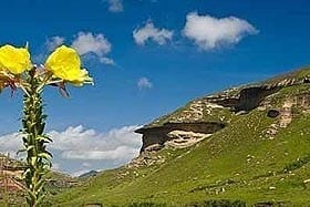 Golden Gate Highlands National Park