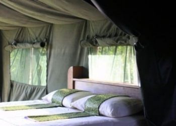 Udzungwa Forest Tented Camp