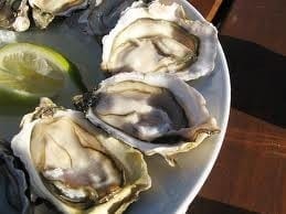 Knysna Oyster Festival