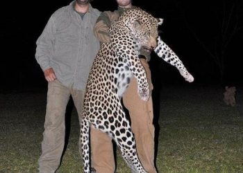 Stop Killing Wildlife for Trophy and Sport