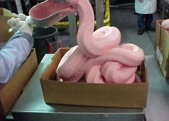 Who wants some Chicken Nuggets?