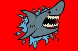 How to Prevent a Shark Attack