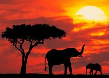 SA leads in responsible tourism