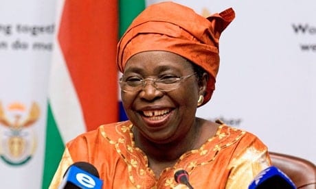 Zuma, illegals and cats