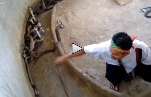 Cobra pit cleaner