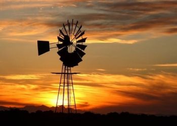 Make farm murders ‘priority crime’