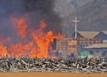 Review of farm wages imminent