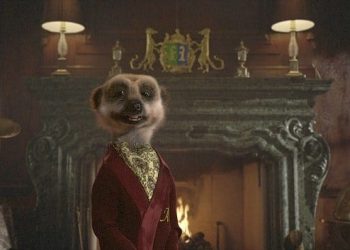 UK’s famous meerkat a Saffa