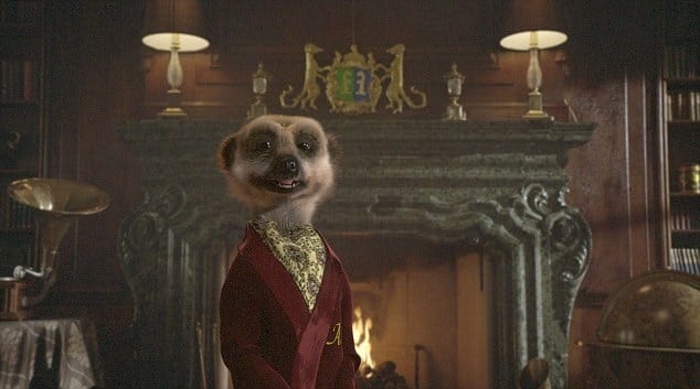 UK’s famous meerkat a Saffa