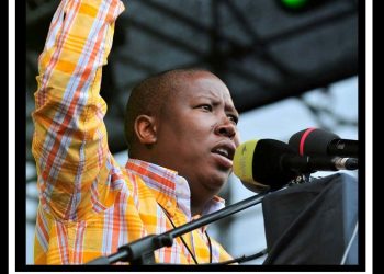 Death and taxes: Malema learns the lesson