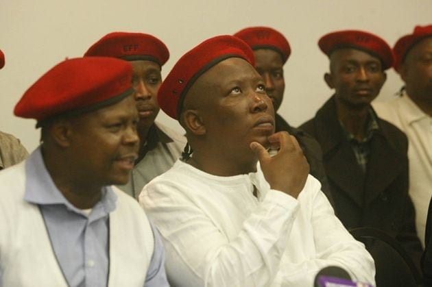 Nobody will own land in Malema SA