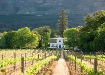 SA wine farm wins big