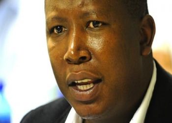 ANC controlled by whites, says Juju