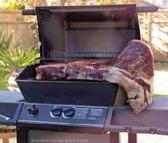 The ULTIMATE BRAAI FAILS! (Video)