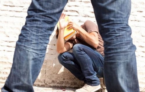 Bullying now SA schoolchildren’s biggest concern