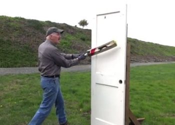 Sound of Cricket bat vs Gunshot
