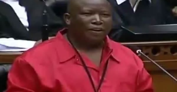 Julius Malema’s best moments