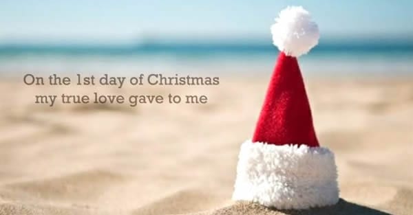 A Proudly South African Christmas Video!