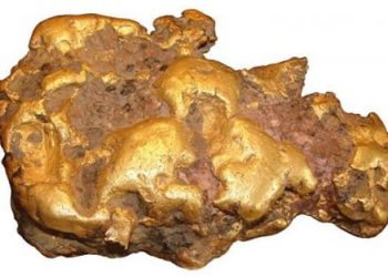 Large Golden Nugget Found