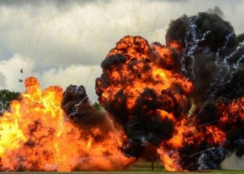 ‘Don’t panic’ as US says ‘Ters’ are eyeing SA