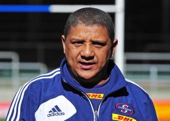 Next Springbok Coach Candidate Odds