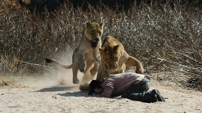 ‘Holy Spirit’ almost serves up holy dinner at Kruger