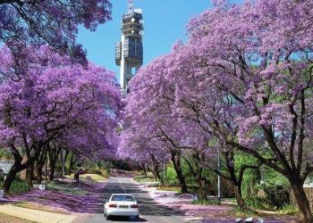 Pretoria will be Tshwane soon – mayor