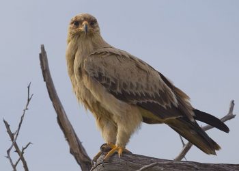 Great Stories with Great Lessons