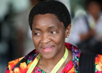 Show us what R753 can buy, dear Minister