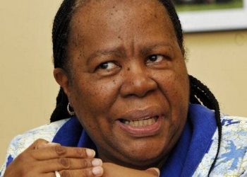 Much work needed to solve SA’s economic crisis – Minister