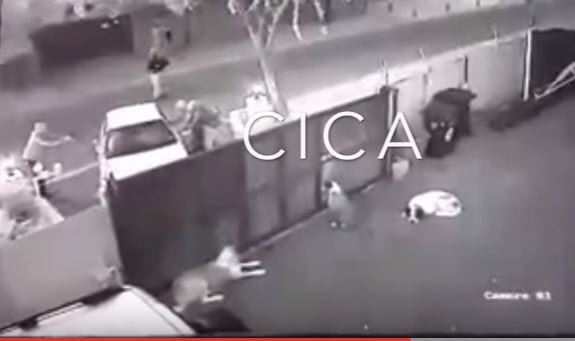 How do you escape from 4 armed robbers?