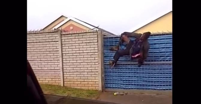Home invader stuck on fence