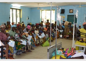 SA’s National Health Plan ‘will fail spectacularly’