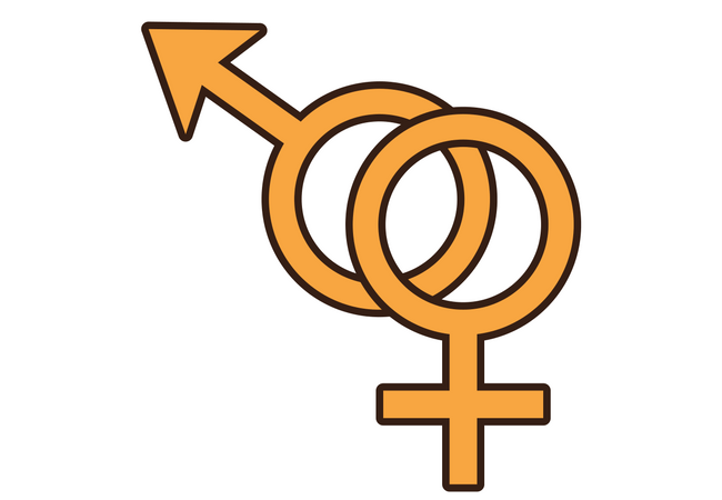 Rhythms of Sexuality or Sex by the Hour