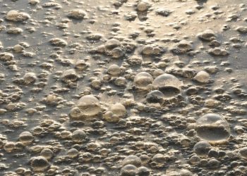 Think twice before you swim at Milnerton