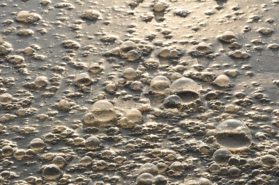 Think twice before you swim at Milnerton