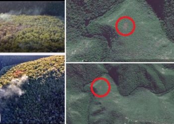 Knysna fire smouldered for weeks but nothing was done