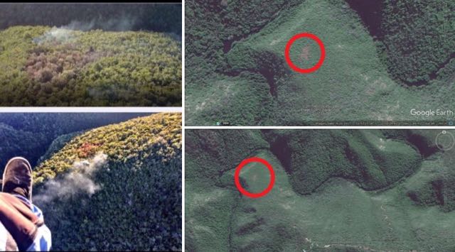 Knysna fire smouldered for weeks but nothing was done