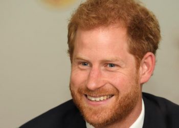 Prince Harry appointed president of African Parks