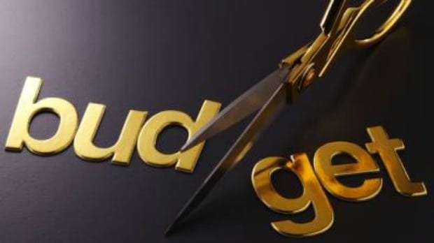 Ramaphosa ‘will fail’ with this budget – IRR