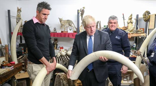 Kevin Pietersen teams up with Boris Johnson to fight wildlife trade