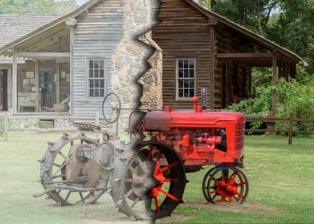 What are the wealth trends in South Africa?