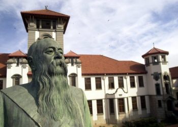 Will M.T. Steyn statue stand or fall?