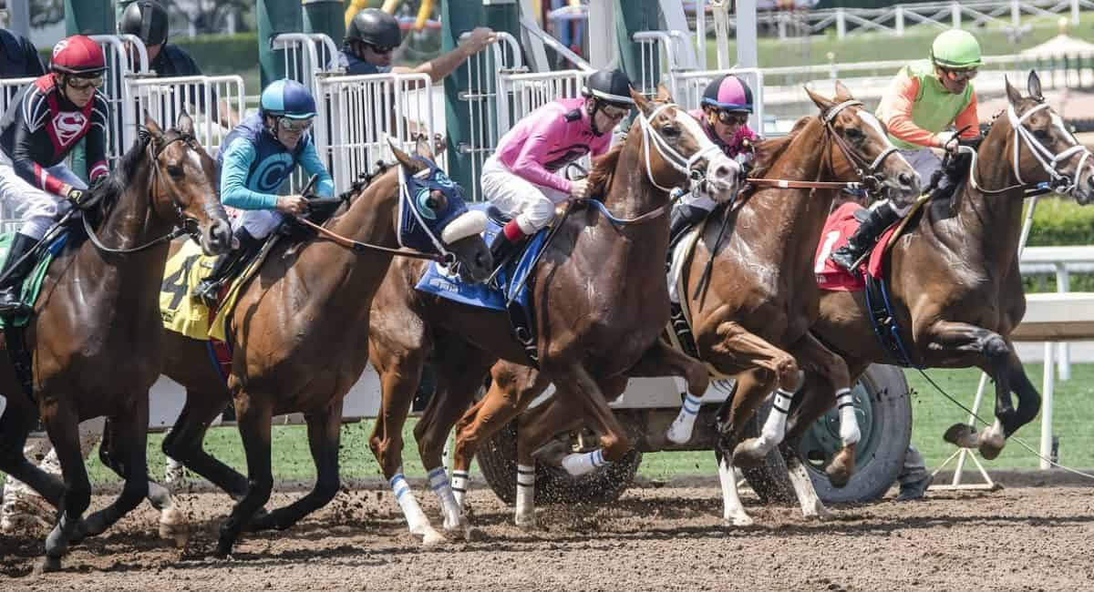 Interesting Facts of World’s 5 Most Prestigious Horse Races
