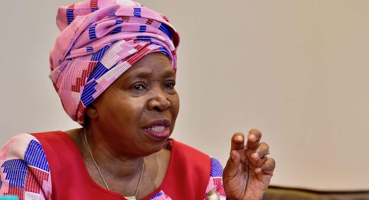 Covid-19: Dlamini-Zuma faces challenge over threat to lock-up infected people